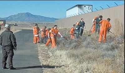 Camp Verde Inmate Search