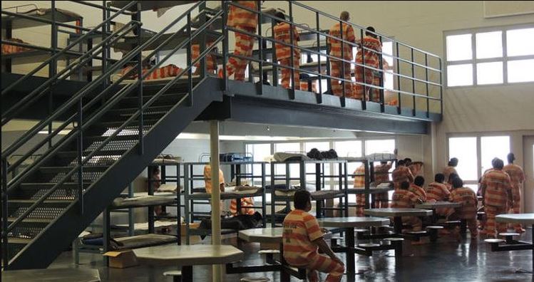 Nogales Inmate Search